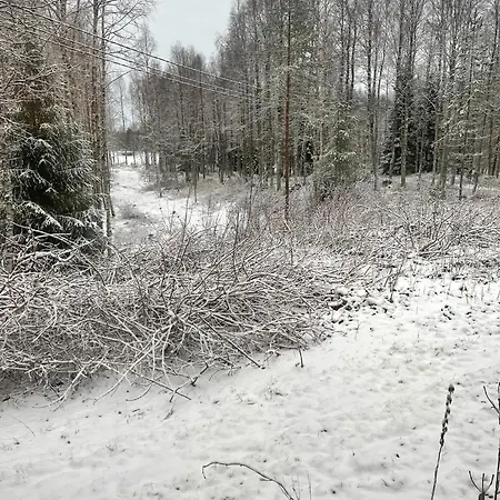 Livotar Syöte * Pudasjärvi