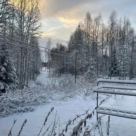 Livotar Syöte * Pudasjärvi