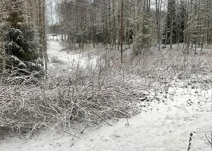 Livotar Syoete * Pudasjärvi