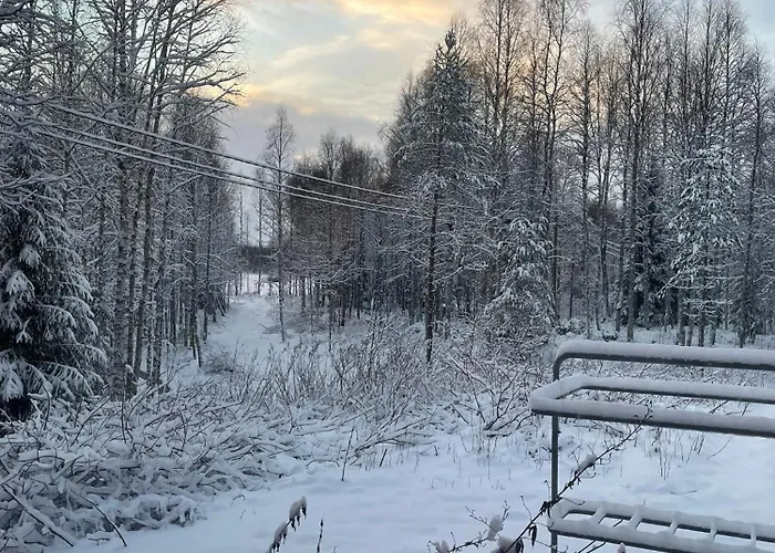 Livotar Syoete * Pudasjärvi